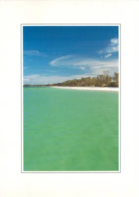 Ilhas de Zanzibar — Praia de Kiwengwa — MACO Ltd. n°322 ZNZ