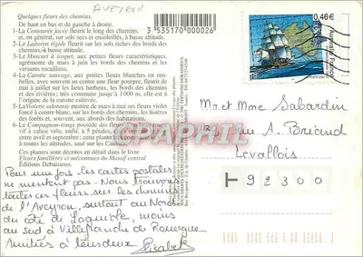 Flores dos caminhos — Verso