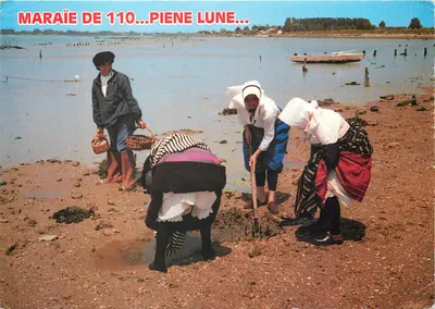 Mulheres na maraîchine — Maré de 110... Piene lune... — Artaud Frères, n°389