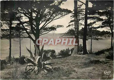 A Ponta dos Essarts — Saint-Briac-sur-Mer — Éditions Gaby