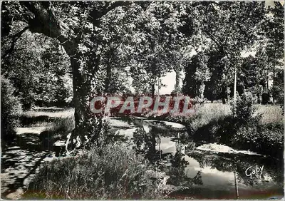 Château-Renaud (Loire-et-Loire) — « La Source » Camping Municipal — Éditions Gaby