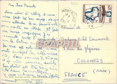 Anémonas vernalis — Anémone printanière — n°2026 — Verso