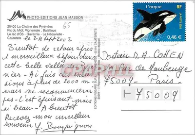 Pyrénées — widok panoramiczny z owcami — Rewers