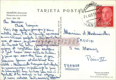 Platanera con su fruto — Tenerife (Kanary) — Fotografías de A. Campana y J. P. Canaleiro, Serie I, Núm. 734 — Rewers