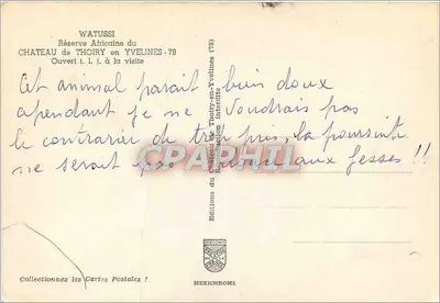 Bœufs Watussi — Réserve Africaine du Château de Thoiry (Yvelines-78) — Éditions Diplomate — Verso