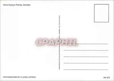 Secagem de clavos de girofle em Pemba, Zanzibar — Publicado por The Gallery Publications — Verso