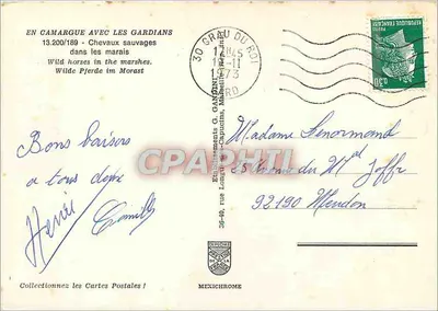 Camargue — cavalos selvagens nos pântanos — Mexichrome — Verso
