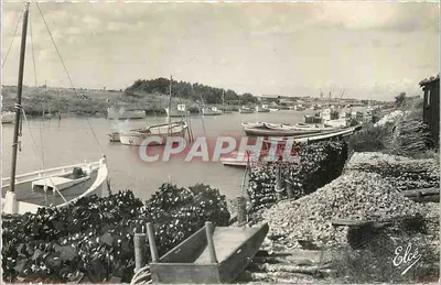 Porto de Marennes — vista do porto com barcos — Editado por Elcée