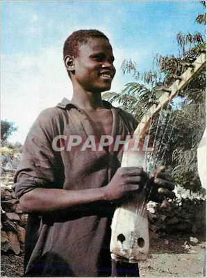 Oudjila - Norte do Camarões — Jovem tocando harpa de Oudjila — Fotos Eurolux