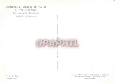 Casa com colmios sob um grande cerejeira em flor — Éditions d'Art YVON, n° 246 — Verso