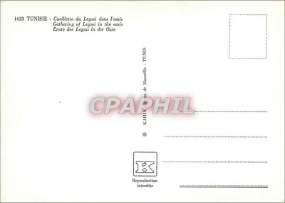 Colheita do legmi na oásis — Tunísia — editor KAHIA, 1623 — Verso
