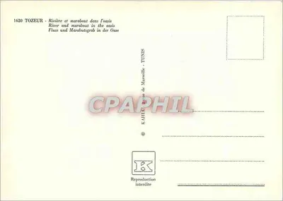 Tozeur — rzeka i marabut w oazie — KAHIA, Tunezja — Rewers
