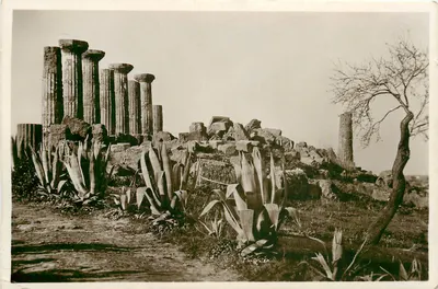 Agrigento — Templo de Héracles — Edição do Museu Cívico