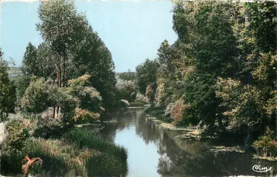 Lézignes (Yonne) — Vista sobre o Armançon, do ponte da estrada nacional — Cim