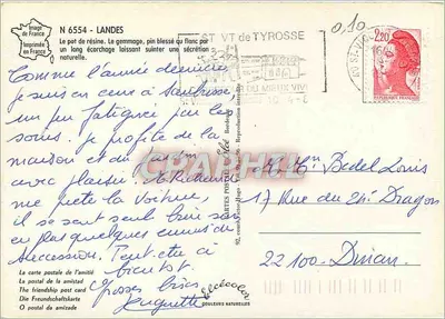 Pin ferido — secreção de resina — Élèe, N° 6554 — Verso