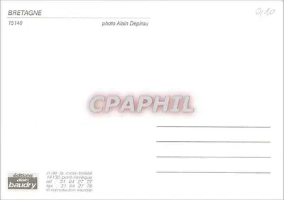 Bretagna — vista della costa con fiori gialli — edizioni Alain Baudry n°15140 — Verso