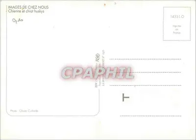Sobolica i szczeniaczek huskij — Wydawca RGO, seria 14331.0 — Rewers