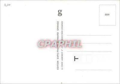 Dwa szczeniaki huskies — zasypane śniegiem — Bernard Grange — Rewers