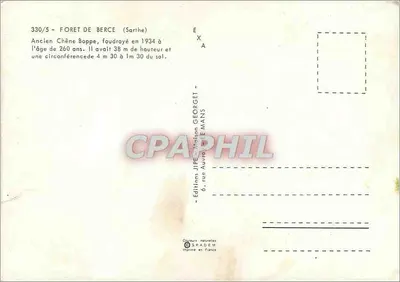Velho Carvalho Boppe — Floresta de Bercé (Sarthe) — Edições JIPE — Verso