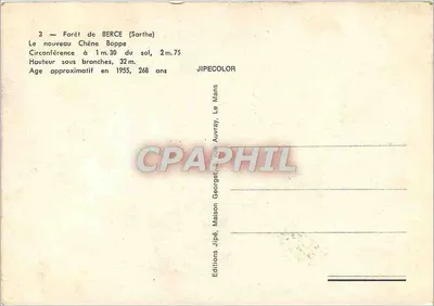 Las BERCÉ (Sarthe) — Dąb Boppe — Éditions Jipé — Rewers