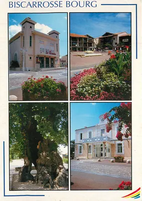 Biscarrosse Bourg — vista da praça, do cinema, da árvore e da prefeitura — COMPA-CARTERIE