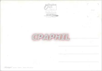 Dzikie koty — Mistigri — Kolekcja Out Subervie, Aquarupella — Rewers