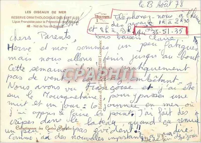 Goéland de Bassan — dorosły i młode ptaki na skałach — Jack — Rewers