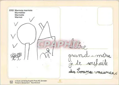 Marmota — Marmota marmota — Druck und Verlag Engadin Press AG, Samedan, n° 5703 — Verso