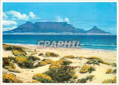 Montanha da Tabela — vista desde Bloubergstrand — Arthur English Prints House