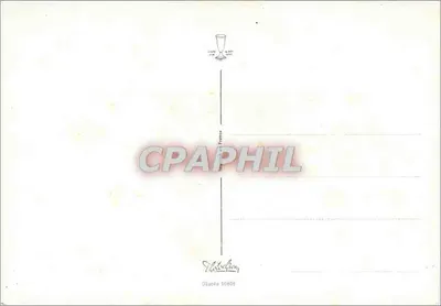Arranjo de flores — papoulas, margaridas, crisântemos — em um cesto branco — editor V. N. T. (N° 30885) — Verso