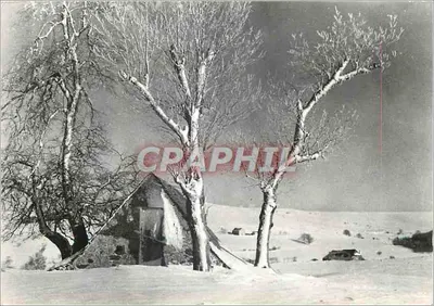 No Aubrac — Um Buron sob a neve — Coleção R. Charbonnier, Ste-Cécile-sur-Argeance