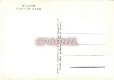 No Aubrac — Um Buron sob a neve — Coleção R. Charbonnier, Ste-Cécile-sur-Argeance — Verso