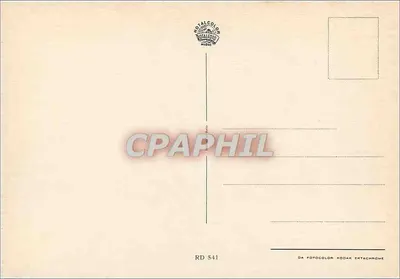 Ptak wodny — sylwetka zachodzącego słońca — Royalcolor Milano, seria RD 541 — Rewers