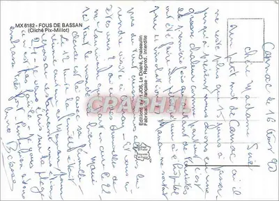 Fous de Bassan — Kolonia na skałach — Wydawnictwo JOS, Le Daoré, Châteaulin — Rewers