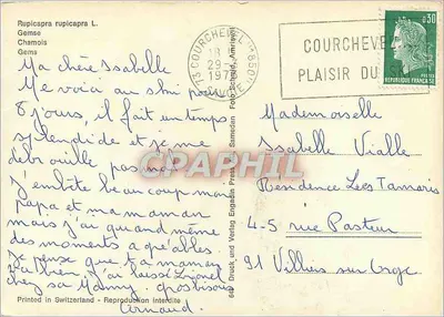 Chamois — Szwajcaria — Foto Schapadin Press AG — Rewers