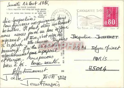 Pinheiro com resina — editor IRIS, número de série não visível — Verso