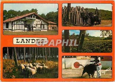 Landes — Il volto delle Landes — Edizioni d'Arte Vignes