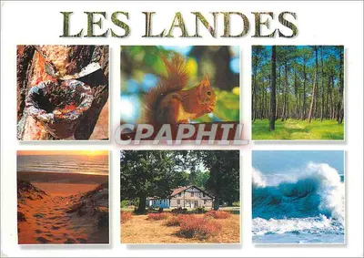 Les Landes — Floresta Landaise — Edições Goblier
