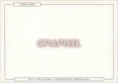 Poppies — Citação bíblica — Edições Fatzer Cedis — Verso