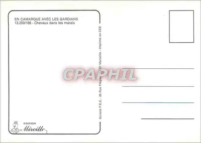 Camargue z Gardianami — 13.200/166 — Wydawnictwo Mireille — Rewers