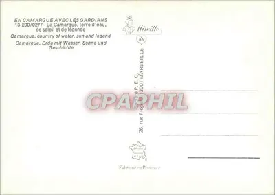 La Camargue — paisagem de cavalos, flamingos e sol — editor P. E. C. Marseille — Verso