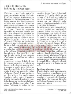 Marennes — O parque de ostras — VPC Larousse Laffont n° 00-0025 — Verso