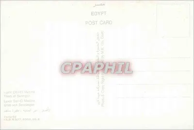 Grób Sennefera — Luxor — Photo & Copy Right by MK Co. Cairo — Rewers