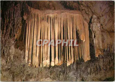 डेमोइसेल्स की गुफा — राजा का आवरण — एडिशन डू कास्टेलेट
