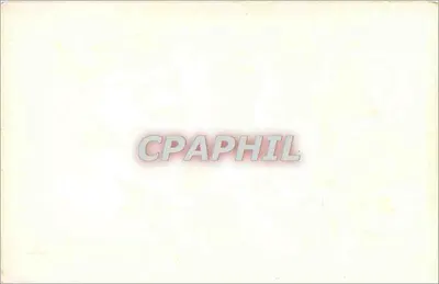 Kwiaty i motyl — Najlepsze życzenia — Rewers