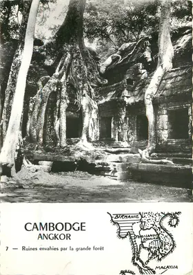 Ruínas invadidas pela grande floresta — Camboja, Angkor — Foto A. Robillard, Paris, n°7