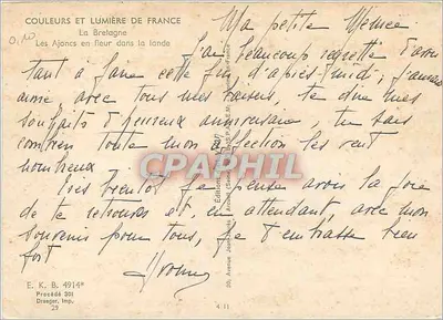 Ericacee in fiore nella landa — La Bretagna — Edizioni Jean Dräger — Verso