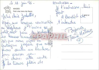Pequeno gato entre flores — Edições 'Le Vinaigre' — n° 6632 M — Verso