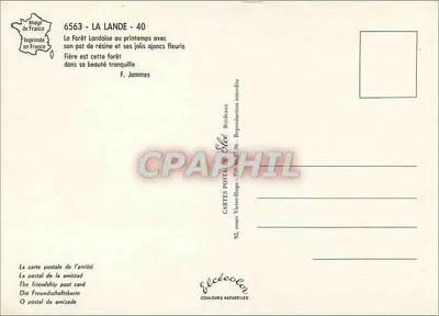 Landes - Raccolta della resina — Editore Elcé, n° 6563 — Verso