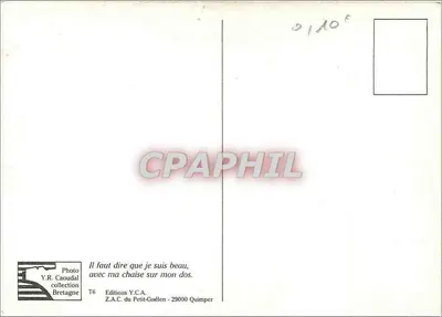Homem judeu ortodoxo — carregando uma cadeira — foto Y. Caoudal — Verso